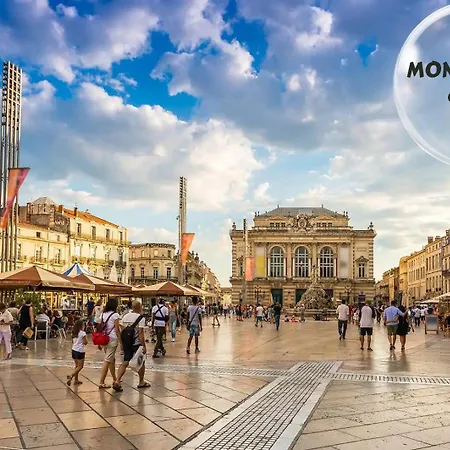 Le Cosy Du Gal, A 2 Pas Du Palais Des Papes Parking Gratuit Securise Apartment