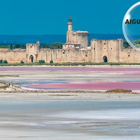Le Cosy Du Gal, A 2 Pas Du Palais Des Papes Parking Gratuit Securise Avignon