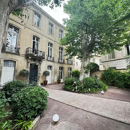 Le Cosy Du Gal, A 2 Pas Du Palais Des Papes Parking Gratuit Securise Avignon