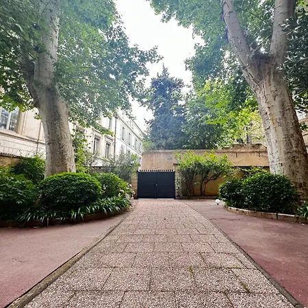 Le Cosy Du Gal, A 2 Pas Du Palais Des Papes Parking Gratuit Securise * Avignon